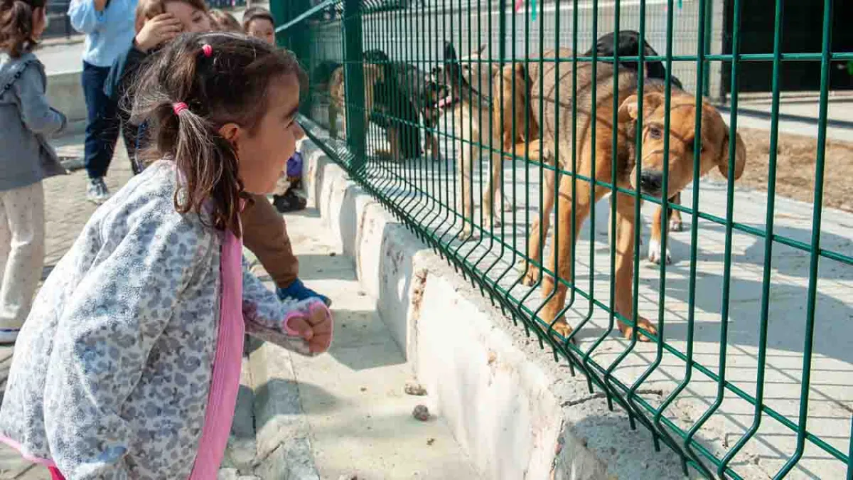 Karşıyaka’da minikler can dostlarıyla buluşuyor: Bakioğlu Yaşam Merkezi okulları ağırlıyor haberinin görseli