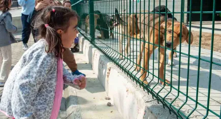 Karşıyaka’da minikler can dostlarıyla buluşuyor: Bakioğlu Yaşam Merkezi okulları ağırlıyor