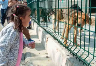 Karşıyaka’da minikler can dostlarıyla buluşuyor: Bakioğlu Yaşam Merkezi okulları ağırlıyor