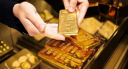 Altın Rafinerisi soruşturmasında şok keşif: Evin kilerinden 500 kilo altın çıktı