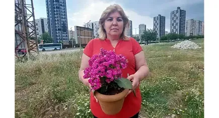 Çiçek teslimi sandı, 95 bin dolarlık senet imzaladı