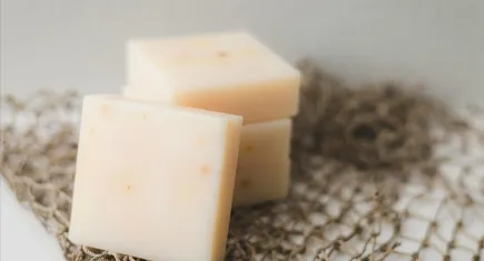 Bozuk peynir nasıl anlaşılır?