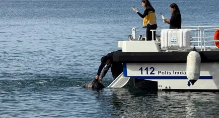 Denizden erkek cesedi çıktı!