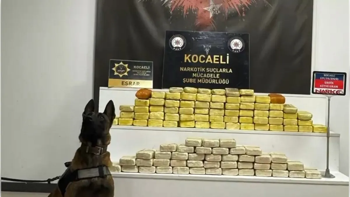 Kocaeli'de yasaklı madde mesaisi: 1 kişiye gözaltı  haberinin görseli