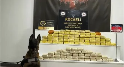 Kocaeli'de yasaklı madde mesaisi: 1 kişiye gözaltı 