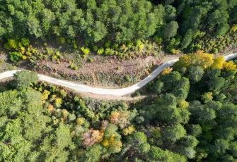 İzmir’deki Ovacık Yaylası sonbahar renklerine büründü