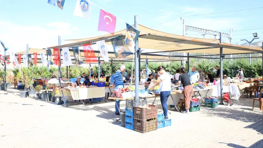 pazar