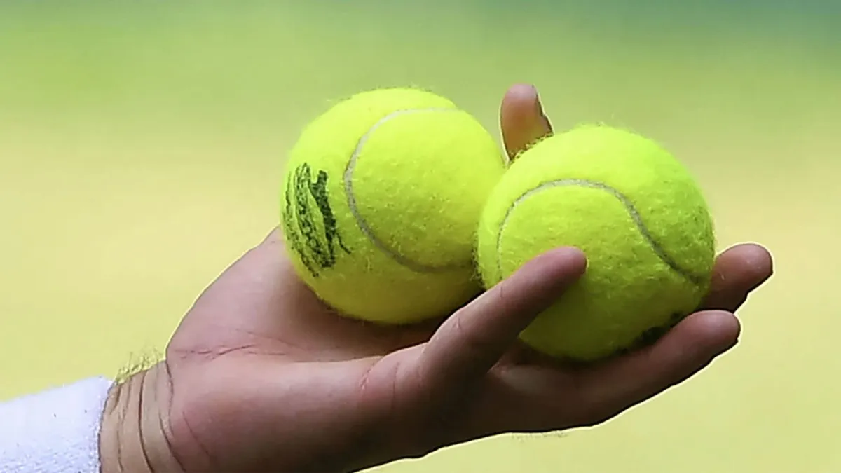 Uzmanlardan şaşırtan öneri: El bagajınızda mutlaka tenis topu bulundurun haberinin görseli