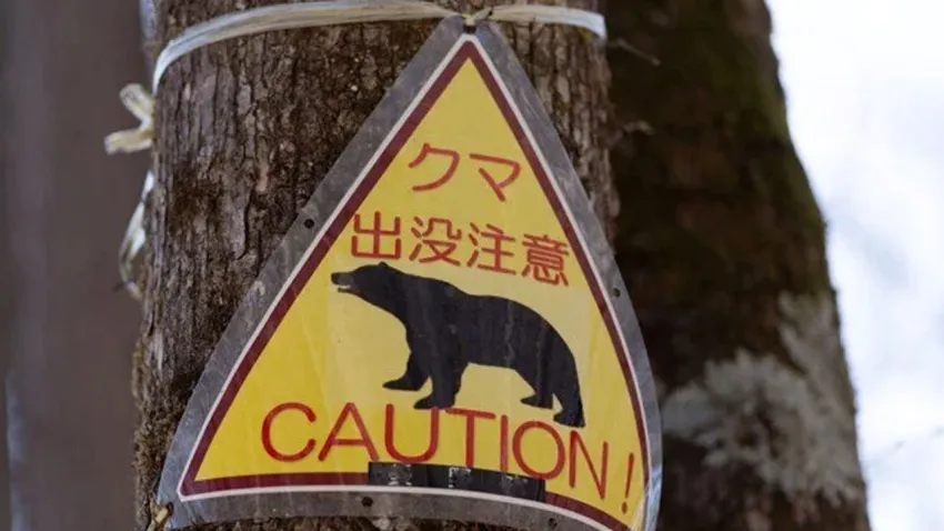japonya
