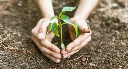 Çiğli Belediyesi’nden doğa dostu tarım eğitimi