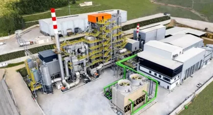 Ecogreen enerji halka arzında rekor ilgi: Bireysel yatırımcının payı ne oldu? Ecogreen hisseleri Borsaİstanbul'da ne zaman işleme alınacak?