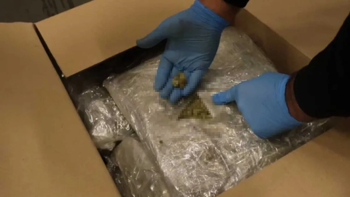 Zehir tacirlerine dev operasyon: Piyasa değeri 320 milyon lira haberinin görseli