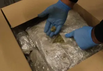 Zehir tacirlerine dev operasyon: Piyasa değeri 320 milyon lira