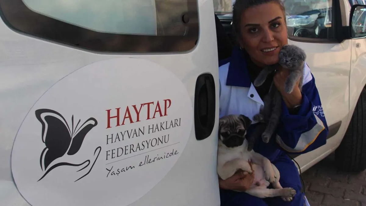 Köpeğe kürekli saldırı sonrası HAYTAP’tan adalet talebi haberinin görseli
