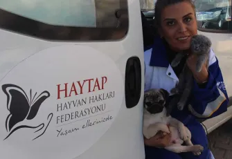 Köpeğe kürekli saldırı sonrası HAYTAP’tan adalet talebi