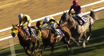 At yarışlarında Cumhuriyet ve Cumhurbaşkanlığı koşuları heyecanı 