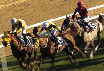 At yarışlarında Cumhuriyet ve Cumhurbaşkanlığı koşuları heyecanı 