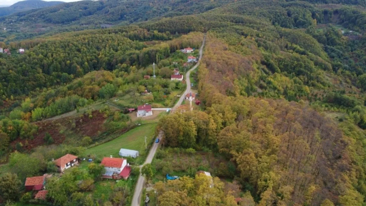 Orman yangınlarına çözüm geldi: Tampon bölgeler ve 20.000 hektarlık sürpriz karar! haberinin görseli