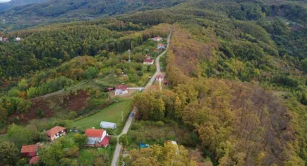 Orman yangınlarına çözüm geldi: Tampon bölgeler ve 20.000 hektarlık sürpriz karar!