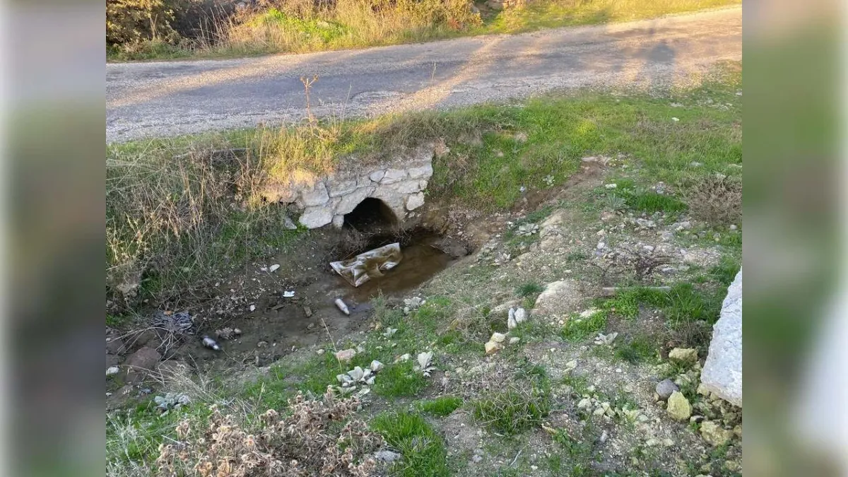 Boş arazide kız bebek cesedi bulundu haberinin görseli