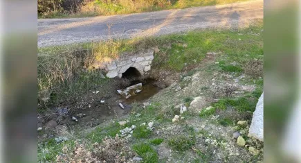 Boş arazide kız bebek cesedi bulundu
