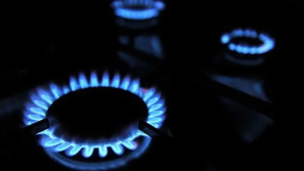 Doğalgazda kademeli zam yolda: 1000 liralık fatura ne kadar olacak? haberinin görseli