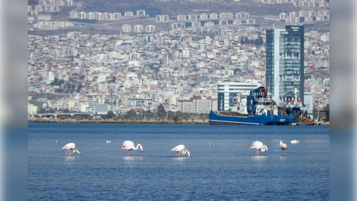 İzmir için tam gaz mesai: Gelecek yarım asır şekilleniyor  haberinin görseli