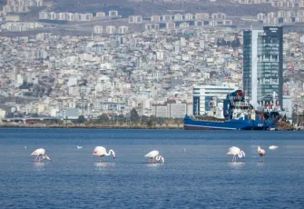 İzmir için tam gaz mesai: Gelecek yarım asır şekilleniyor 
