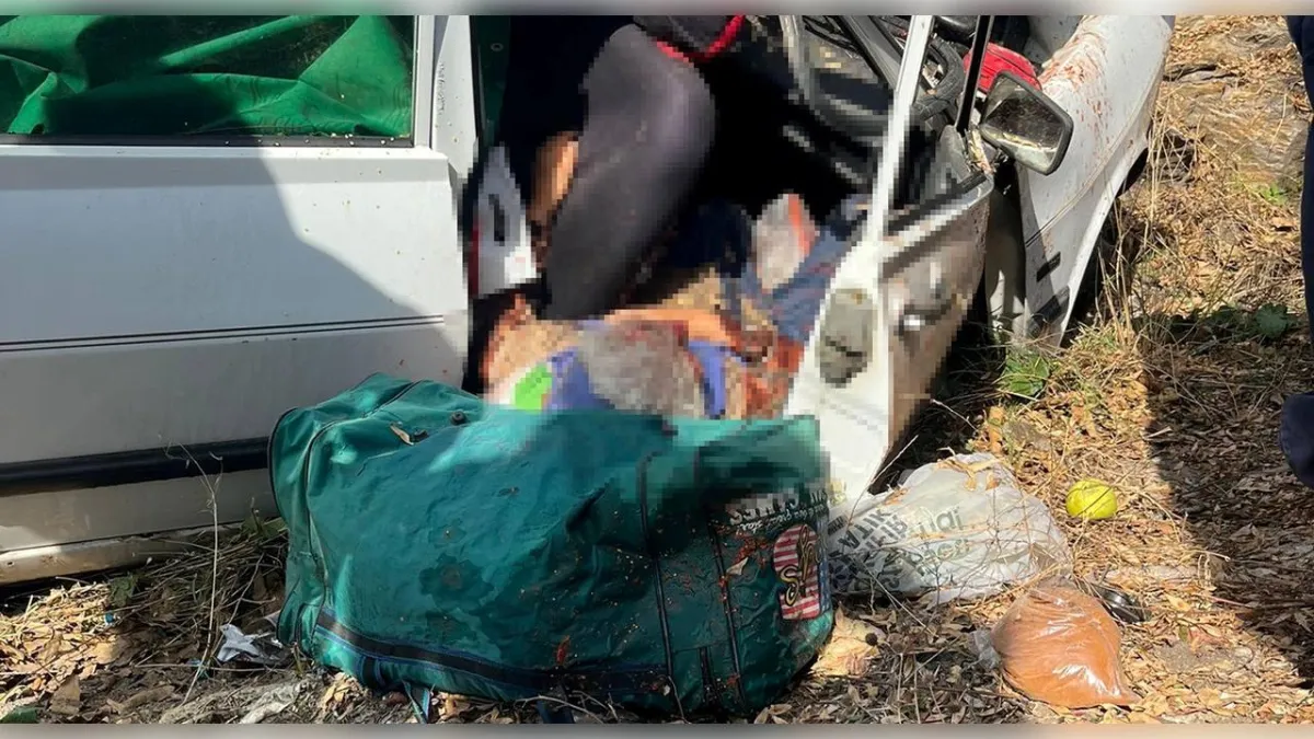 İzmir yolunda kaza: Yaşlı çifti ölüm ayırdı haberinin görseli