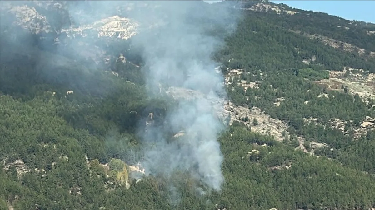 Muğla’daki Orman Yangını Kısa Sürede Kontrol Altına Alındı haberinin görseli