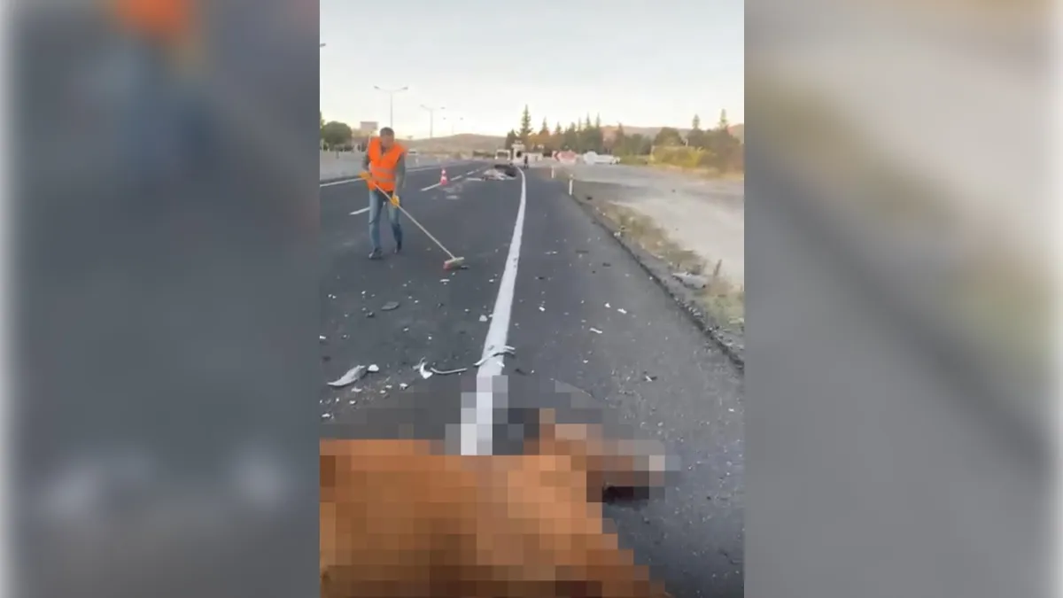 Nevşehir'de kaza: Otomobilin çaptığı atlar öldü haberinin görseli