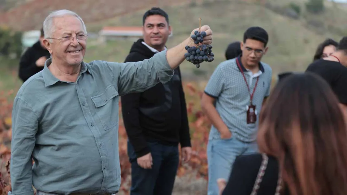 Coğrafi işaretli Kavacık Üzümüne ilgi yoğun  haberinin görseli
