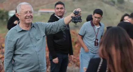 Coğrafi işaretli Kavacık Üzümüne ilgi yoğun 