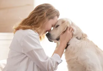 Gizemli yaşam döngüsü: Can dostunuz size kaç yıl eşlik edecek? Bilimsel verilerle evcil hayvan ömür rehberi!