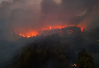 Minibüste başlayıp ormana sıçrayan yangın davasında 4 kişiye hapis istemi