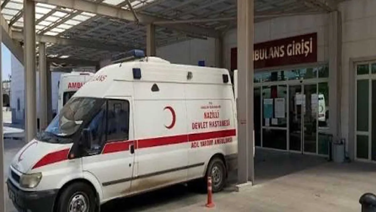 Ormandan mantar topladılar: Zehirlendiler! haberinin görseli