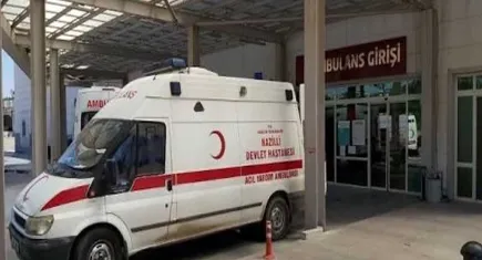 Ormandan mantar topladılar: Zehirlendiler!