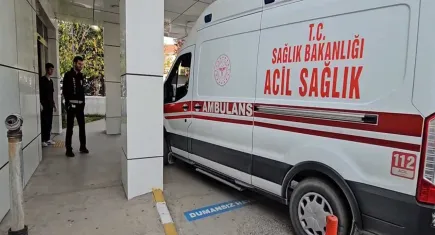 Sakarya'da korkunç cinayet: Ağabeyini döverek öldürdü!