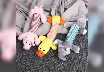 İzmir’de evcil hayvanlar için yaratıcı oyuncak atölyesi düzenlenecek