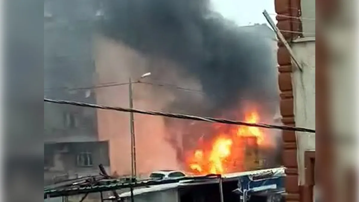 İstanbul'da 50 tavuk ve kuş öldü haberinin görseli