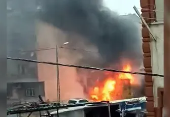 İstanbul'da 50 tavuk ve kuş öldü