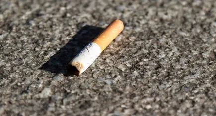  Yere sigara izmariti atana rekor ceza