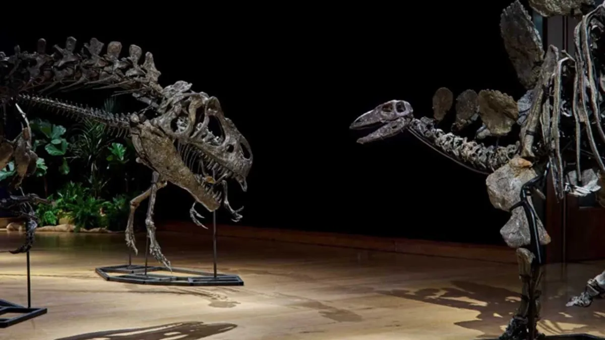 150 milyon yıllık dinozor iskeletleri, kara para soruşturmasına takıldı haberinin görseli