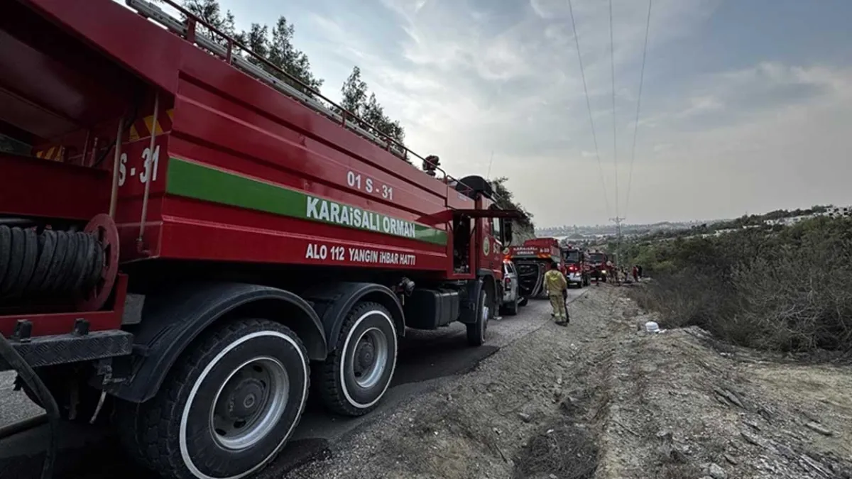 Adana'da orman yangını haberinin görseli