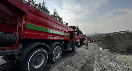 Adana'da orman yangını