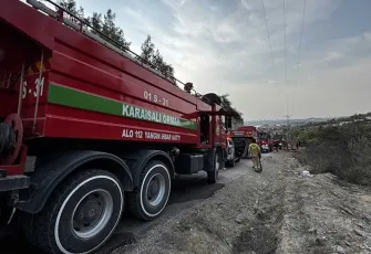 Adana'da orman yangını