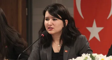 Gökçen’den iktidara basın tepkisi