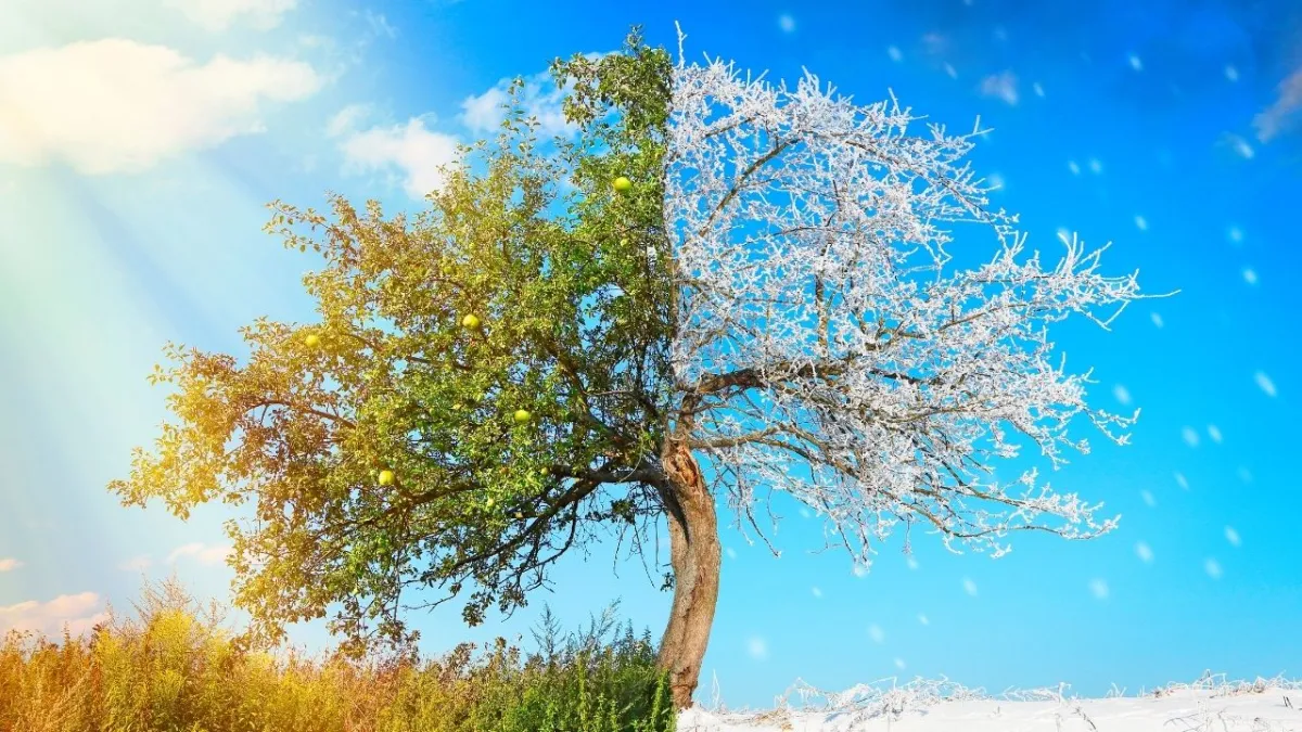 Karanlıktan aydınlığa: 21 Aralık kış gündönümü ne zaman, ne anlama geliyor? haberinin görseli
