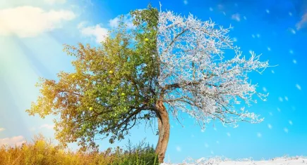 Karanlıktan aydınlığa: 21 Aralık kış gündönümü ne zaman, ne anlama geliyor?