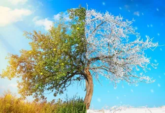 Karanlıktan aydınlığa: 21 Aralık kış gündönümü ne zaman, ne anlama geliyor?